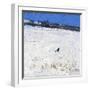 Winter Crow, 2011-Charles Simpson-Framed Giclee Print