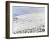 Winter Crows, 2012-Charles Simpson-Framed Giclee Print