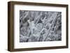 Winter Crystals-Keith Morgan-Framed Photographic Print