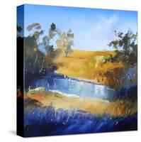 Winter Dam-Craig Trewin Penny-Stretched Canvas