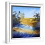 Winter Dam-Craig Trewin Penny-Framed Art Print