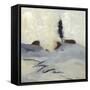 Winter Dance II-Bradford Brenner-Framed Stretched Canvas