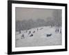 Winter, Darley Park, 2009-Andrew Macara-Framed Giclee Print