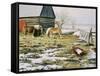 Winter Day-Kevin Dodds-Framed Stretched Canvas