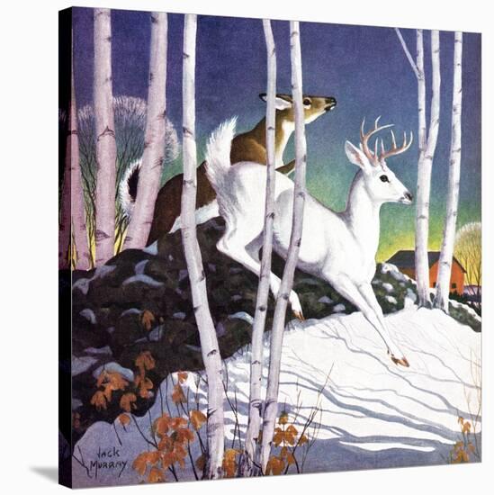 Winter Deer - Child Life-Jack Murray-Stretched Canvas