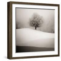 Winter Degradee-SC-Framed Photographic Print