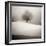 Winter Degradee-SC-Framed Photographic Print