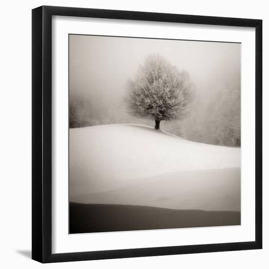 Winter Degradee-SC-Framed Photographic Print