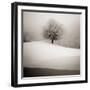 Winter Degradee-SC-Framed Photographic Print