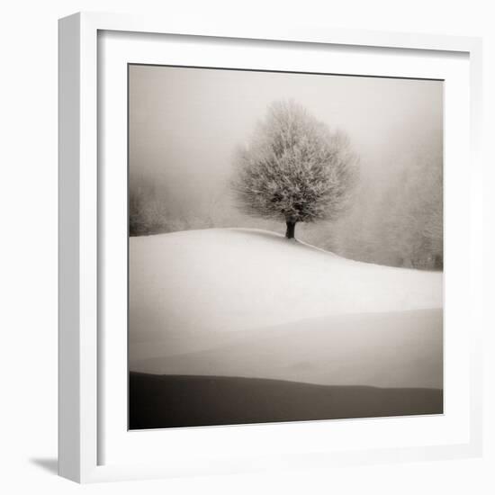 Winter Degradee-SC-Framed Photographic Print