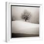 Winter Degradee-SC-Framed Photographic Print