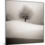 Winter Degradee-SC-Mounted Photographic Print