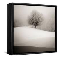 Winter Degradee-SC-Framed Stretched Canvas