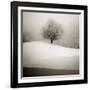 Winter Degradee-SC-Framed Photographic Print