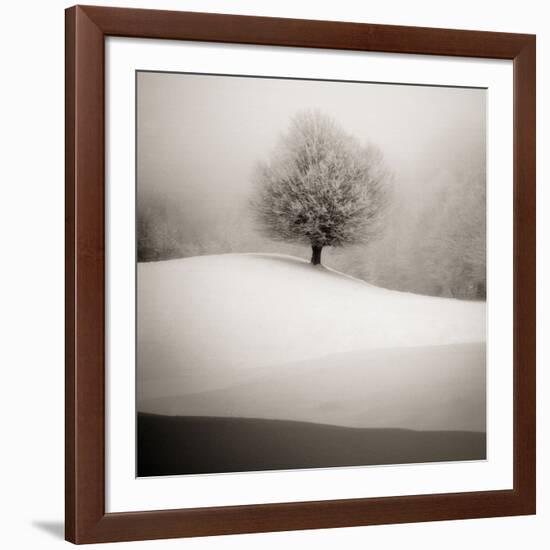 Winter Degradee-SC-Framed Photographic Print