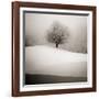 Winter Degradee-SC-Framed Photographic Print