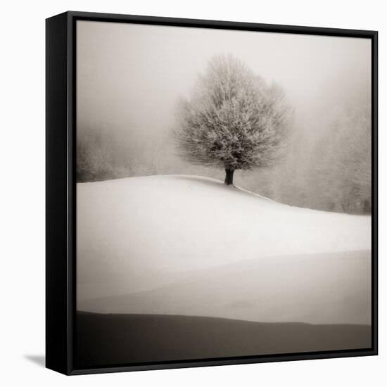 Winter Degradee-SC-Framed Stretched Canvas