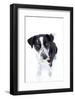 Winter, Dog, Pet, Snow-Nora Frei-Framed Photographic Print