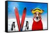 Winter Dog Snow-Javier Brosch-Framed Stretched Canvas