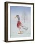 Winter-Drake-Ditz-Framed Giclee Print