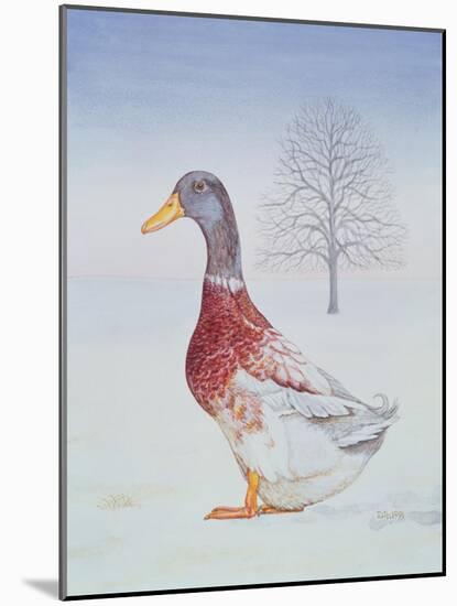 Winter-Drake-Ditz-Mounted Giclee Print