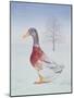 Winter-Drake-Ditz-Mounted Giclee Print