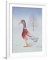 Winter-Drake-Ditz-Framed Giclee Print