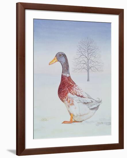 Winter-Drake-Ditz-Framed Giclee Print