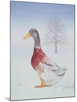 Winter-Drake-Ditz-Mounted Giclee Print