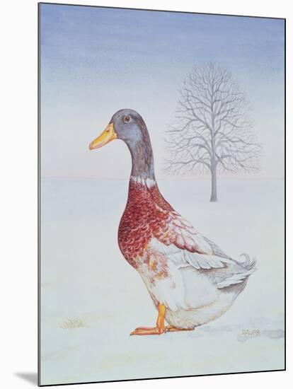 Winter-Drake-Ditz-Mounted Giclee Print