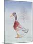 Winter-Drake-Ditz-Mounted Giclee Print