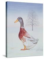 Winter-Drake-Ditz-Stretched Canvas
