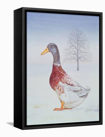 Winter-Drake-Ditz-Framed Stretched Canvas