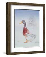 Winter-Drake-Ditz-Framed Giclee Print