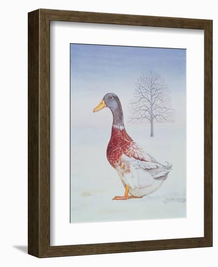 Winter-Drake-Ditz-Framed Giclee Print