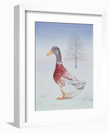 Winter-Drake-Ditz-Framed Giclee Print