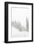 Winter driving conditions on Mount Hood, Oregon, USA-Stuart Westmorland-Framed Photographic Print