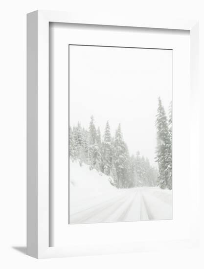 Winter driving conditions on Mount Hood, Oregon, USA-Stuart Westmorland-Framed Photographic Print