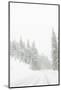 Winter driving conditions on Mount Hood, Oregon, USA-Stuart Westmorland-Mounted Photographic Print