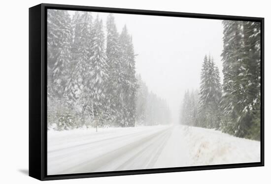 Winter driving conditions on Mount Hood, Oregon, USA-Stuart Westmorland-Framed Stretched Canvas