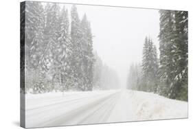 Winter driving conditions on Mount Hood, Oregon, USA-Stuart Westmorland-Stretched Canvas