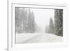 Winter driving conditions on Mount Hood, Oregon, USA-Stuart Westmorland-Framed Photographic Print