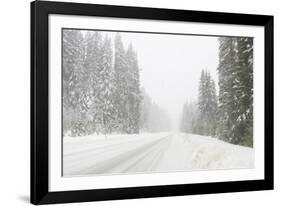 Winter driving conditions on Mount Hood, Oregon, USA-Stuart Westmorland-Framed Photographic Print