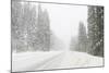 Winter driving conditions on Mount Hood, Oregon, USA-Stuart Westmorland-Mounted Photographic Print