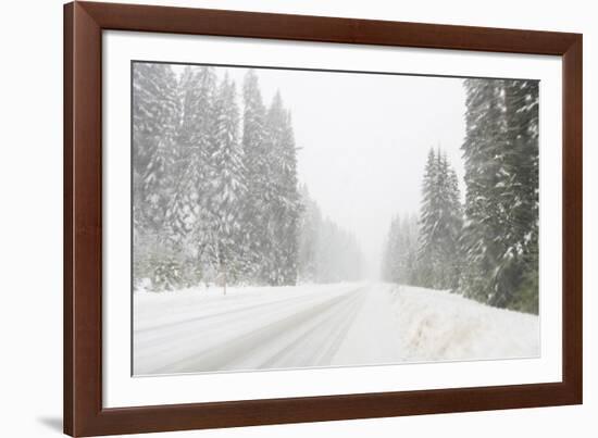 Winter driving conditions on Mount Hood, Oregon, USA-Stuart Westmorland-Framed Photographic Print