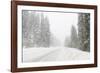 Winter driving conditions on Mount Hood, Oregon, USA-Stuart Westmorland-Framed Photographic Print