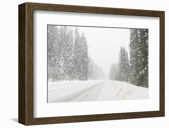 Winter driving conditions on Mount Hood, Oregon, USA-Stuart Westmorland-Framed Photographic Print