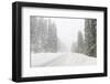 Winter driving conditions on Mount Hood, Oregon, USA-Stuart Westmorland-Framed Photographic Print