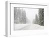 Winter driving conditions on Mount Hood, Oregon, USA-Stuart Westmorland-Framed Photographic Print