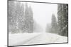 Winter driving conditions on Mount Hood, Oregon, USA-Stuart Westmorland-Mounted Photographic Print